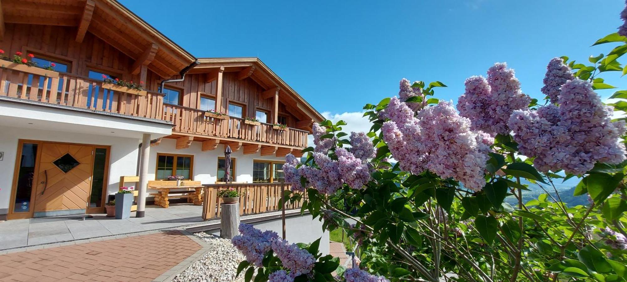 La Montana - Ski & Hiking Lodge Schladming Extérieur photo